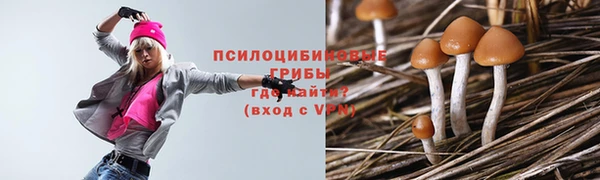 гидра Армянск
