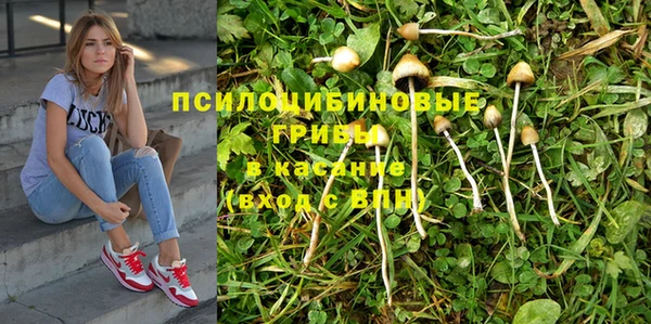 прущая мука Аркадак