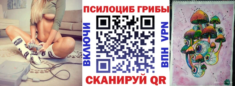 дарк нет официальный сайт  Армянск  Галлюциногенные грибы Psilocybe 